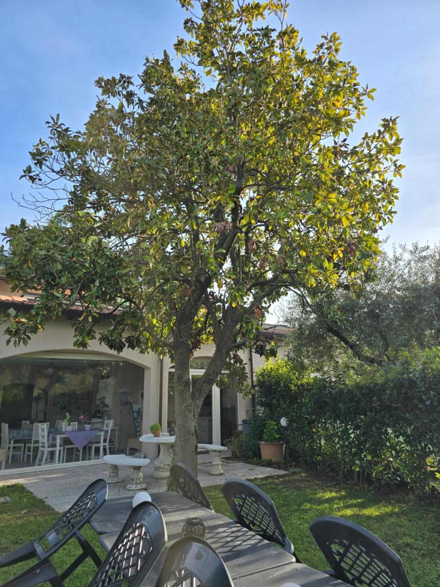 Villa Indipendente A Pochi Passi Dal Lago Сан Феличе дел Бенако Екстериор снимка