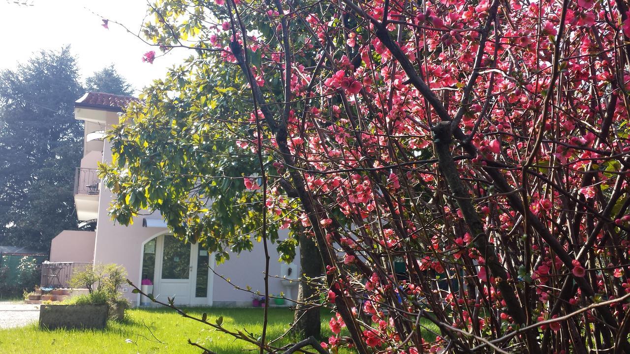 Villa Indipendente A Pochi Passi Dal Lago Сан Феличе дел Бенако Екстериор снимка